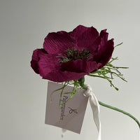 Bordeaux fransk anemone